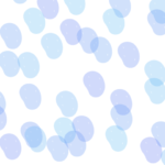 Федор Лежнев возглавил департамент информационных технологий УК «Альфа-Капитал»