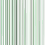 «АльфаСтрахование» запустила онлайн-рассрочку для держателей карт Visa «Свобода» Хоум Кредит